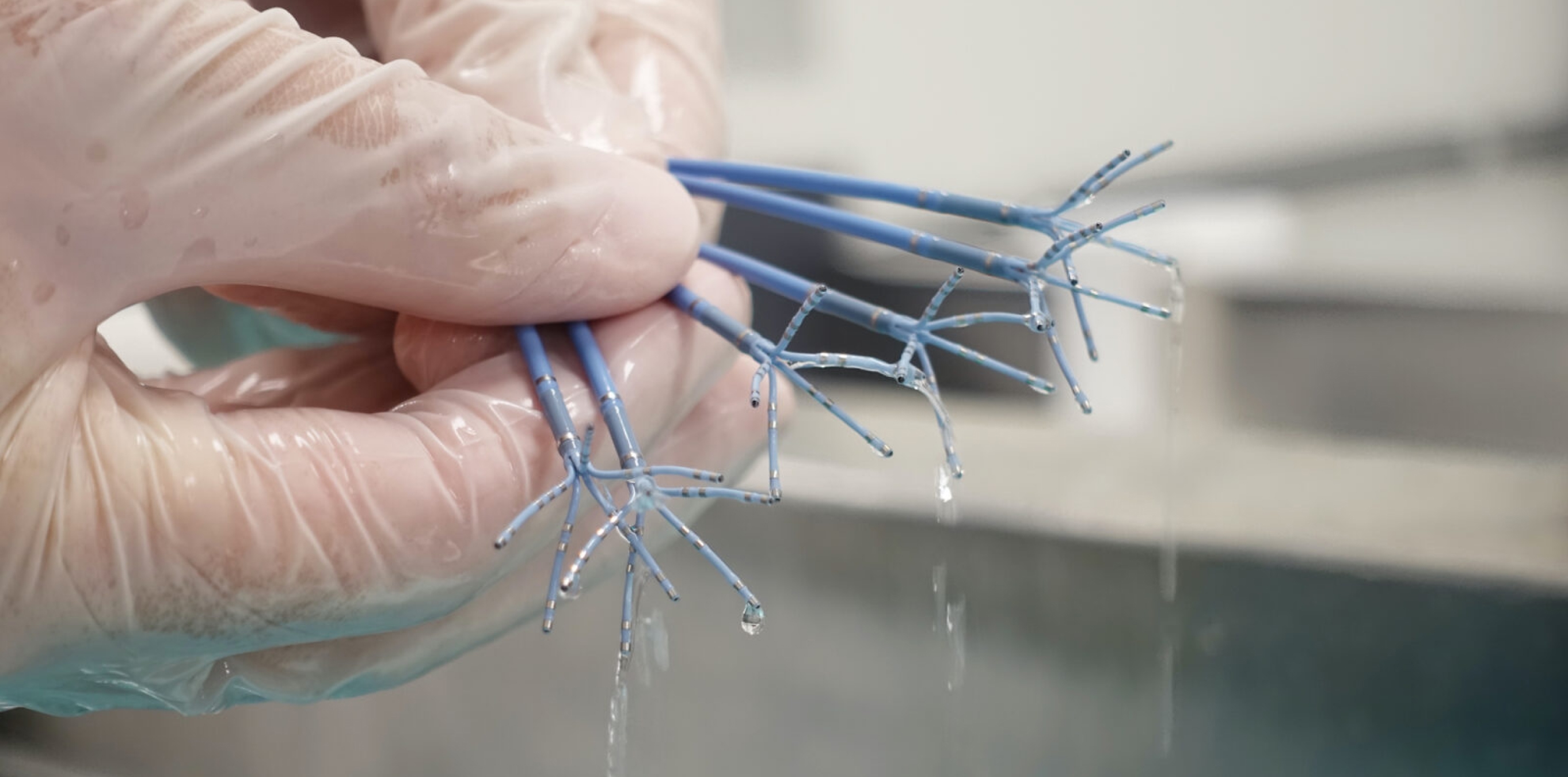 Gloved hand rinsing blue multi-prong medical catheters, water dripping from the tips.