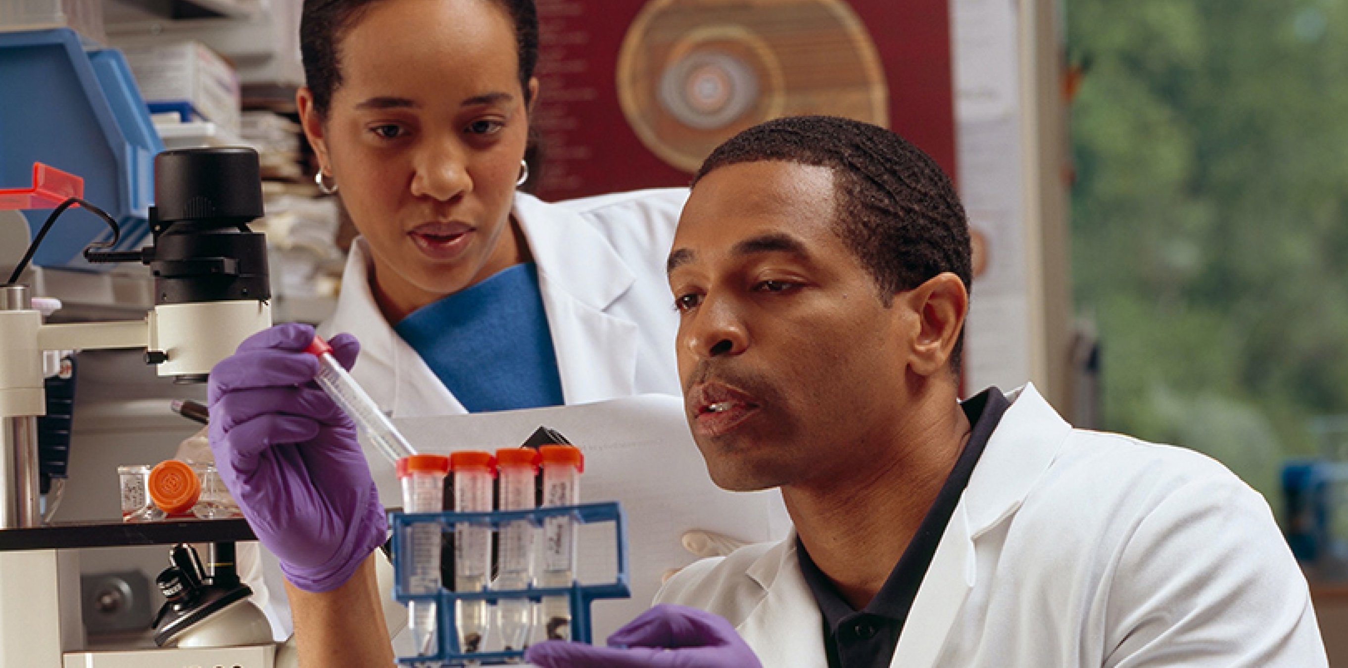 Researchers in a lab examining a test tube beside a rack of labeled vials and a microscope.